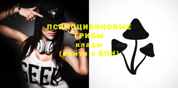2c-b Алзамай