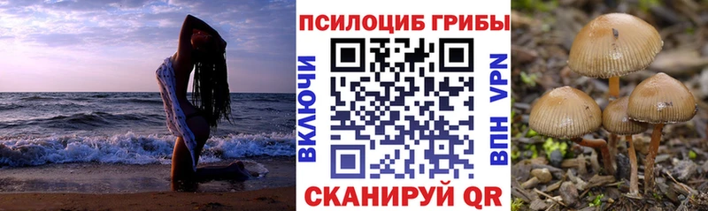 наркотики  kraken ССЫЛКА  Псилоцибиновые грибы ЛСД  Ачинск 